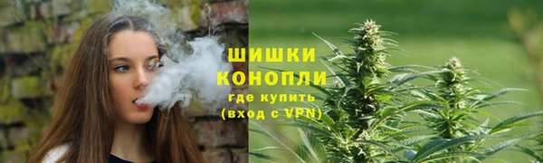 дживик Гусев