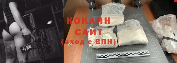 дживик Гусев