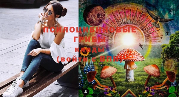 mix Гусиноозёрск