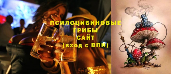 mix Гусиноозёрск