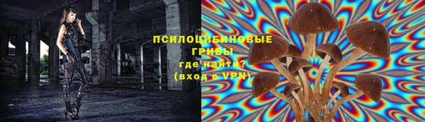 дживик Гусев