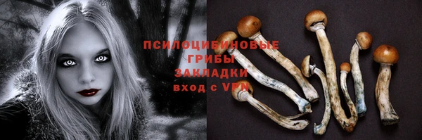 дживик Гусев