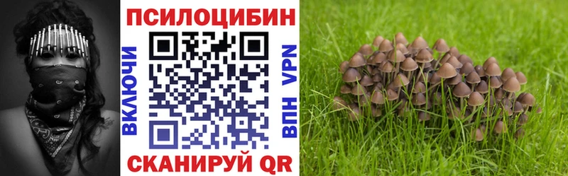 Галлюциногенные грибы MAGIC MUSHROOMS  blacksprut зеркало  Северская  купить наркотики сайты 